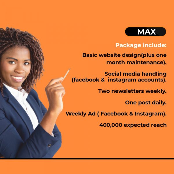 Web design service - Max Package